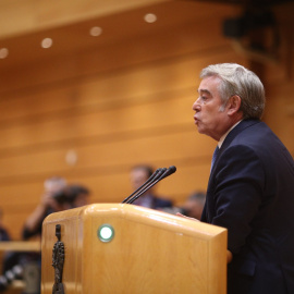 El portavoz del Grupo Popular en el Senado, José Manuel Barreiro, en el Pleno de la Cámara Alta sobre el artículo 155 de la Constitución. E.P.