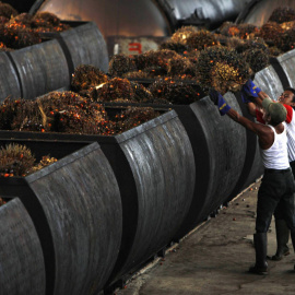 Trabajadores en una planta de aceite de palma en Malingping, Indonesia. REUTERS