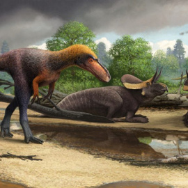 La especie de tiranosauroide Suskityrannus hazelae vivió hace 92 millones de años durante el Cretácico Medio / Andrey Atuchin