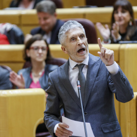 18/04/2023.- El ministro del Interior, Fernando Grande Marlaska en la sesión de control celebrada este martes en el pleno del Senado, en Madrid. EFE/ Mariscal