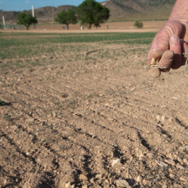 Un agricultor muestra la tierra seca, a 20 de abril de 2023, en Murcia, Región de Murcia (España).