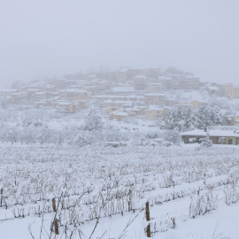 Horta de Sant Joan nevat després del pas del temporal Filomena.