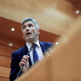 El ministro del Interior, Fernando Grande-Marlaska, durante la sesión del pleno del Senado.- EFE/Juan Carlos Hidalgo