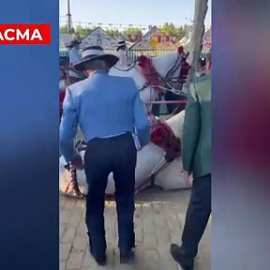 Dos hombres patean a un caballo agotado que se desplomó durante la Feria de Abril de Sevilla