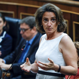 La ministra de Transición Ecológica Teresa Ribera, durante su la sesión de control en el Congreso de los Diputados. EFE/Emilio Naranjo