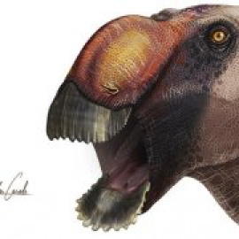 Identificada una extraña nueva especie de dinosaurio ‘pico de pato’