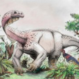 Un nuevo dinosaurio gigante del Jurásico en Sudáfrica