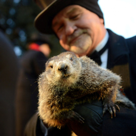 Phil, en el Día de la Marmota que se celebra en Punxsutawney (Pensilvania), popularizado por la película 'Atrapado en el tiempo'.