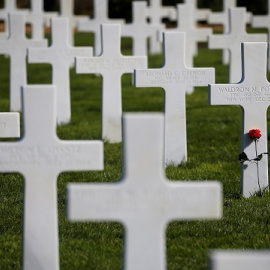 26/03/2019- Una rosa en el cementerio en memoria de los soldados caídos en el Desembarco de Normandía. / REUTERS - Stephane Mahe