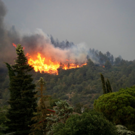 15/06/2022 - Flames a l'incendi de Baldomar, a Artesa de Segre.