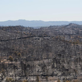 Vista del terreno calcinado este sábado tras el paso del incendio forestal de Tarragona que ha afectado a la comarca de la Ribera d'Ebre desde el miércoles. Tras arrasar unas 6.000 hectáreas y afectar a municipios tarraconenses como Flix o 