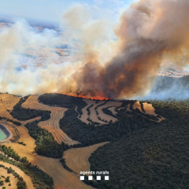 Imatge aèria d'un foc de vegetació agrícola a Artesa de Segre.