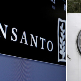 Los logos de Monsanto y de Bayer. REUTERS