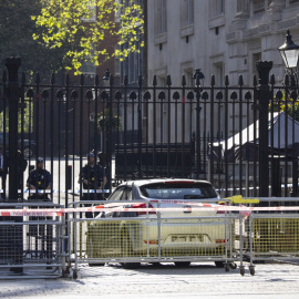 Coche choca contra la verja de Downing Street