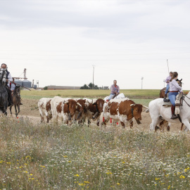 Personas a caballo conducen ganado en la octava edición de la Feria del Caballo, a 14 de mayo de 2022, en Medina del Campo, Valladolid.