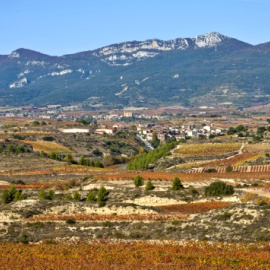 Los trazados del TAV que plantea Fomento acabarían con los viñedos de la Rioja Alavesa. BLOG RIOJA ALAVESA