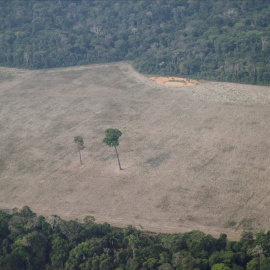 Vista aérea de la deforestación en el Amazonas