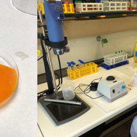 Yemas de huevo preparadas para su análisis en el laboratorio del Área de Tecnología de los Alimentos en la Facultad de Veterinaria de la Universidad de Santiago de Compostela en el campus de Lugo / GEMA PUERTAS