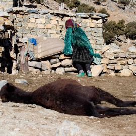 Una mujer llora junto al cuerpo de su burro, tras descubrir que éste ha muerto, en la región de Alto Atlas de Marruecos. /YOUSSEF BOUDLAL (REUTERS)