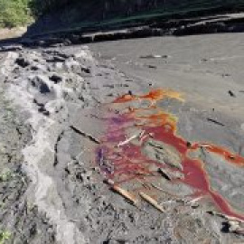 Multa de 1,9 millones a Endesa por contaminar un río que nutre de agua potable a una comarca de 25.000 personas