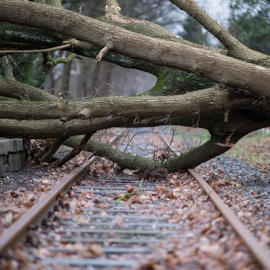 Un árbol caído por una tormenta. EUROPA PRESS