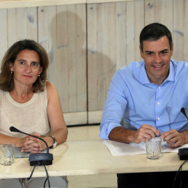 El presidente del Gobierno en funciones, Pedro Sánchez, y la ministra de Transición Ecológica en funciones, Teresa Ribera, durante su reunión con organizaciones ecologistas. EFE/ J.J. Guillén