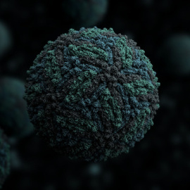 07/08/2019 Imagen en 3D del virus del Zika / MANUEL ALMAGRO RICAS (SINC)