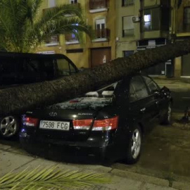 La borrasca Bernard deja un muerto y numerosos destrozos en Andalucía