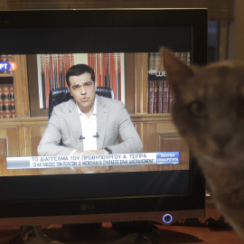 Un gato junto a un televisor que emite el mensaje televisado del primer  ministro griego, Alexis Tsipras, anunciando el cierre de los bancos y controles de capital.. EFE/EPA/ORESTIS PANAGIOTOU