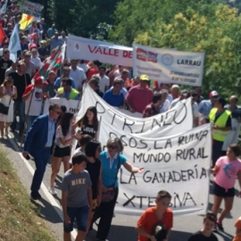 Un millar de ganaderos de Aragón, Catalunya, Navarra y Francia recorrieron este jueves las calles de Aínsa (Huesca) para protestar contra la reintroducción del oso y el lobo en el Pirineo. UAGA