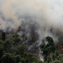 Incendio en el Amazonas / REUTERS - NACHO DOCE