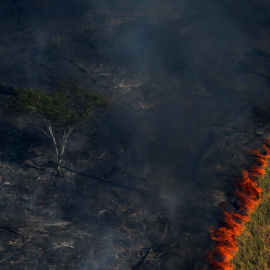 Un bosque en llamas durante la "Operación Ola Verde" realizada por agentes del Instituto Brasileño de Medio Ambiente y Recursos Naturales Renovables para combatir la tala ilegal en la sureña región del estado de Amazonas.- REUTERS