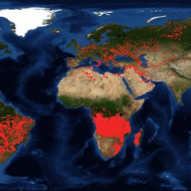 Captura de las imágenes satélite de la NASA que muestran los focos de incendios activos en el planeta. / FIRMS (NASA)