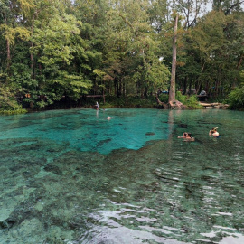 Los Ginie Springs. Google Maps