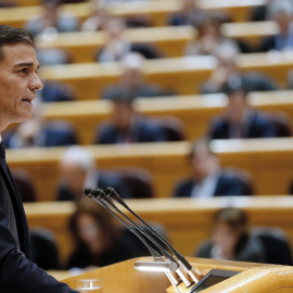 El presidente del Gobierno, Pedro Sánchez , durante su comparecencia en sesión plenaria del Senadoedicará un apartado especial a tratar sobre la inmigración. EFE/J.P.Gandul