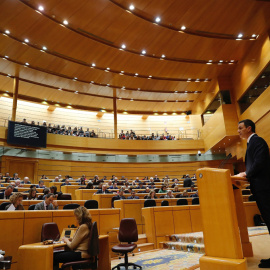 El presidente del Gobierno, Pedro Sánchez, durante su comparecencia en la sesión plenaria del Senado. EFE/J.P.Gandul