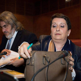 La presidenta de la Plataforma por las Garantías Ciudadanas, Inmaculada Sánchez Ruiz (d), y el abogado de la entidad, Alberto Ganga (i), comparecen ante la Comisión de Investigación de la Financiación de los Partidos Políticos del Senado de