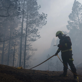 Bomberos de Güímar en el bosque de Las Raíces, este martes en el municipio de El Rosario, quemado por el incendio forestal que afecta a la isla de Tenerife.