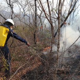 Voluntarios bolivianos aplacan un incendio el 27 de agosto de 2019 en la región de San José de Chiquitos (Bolivia).- EFE