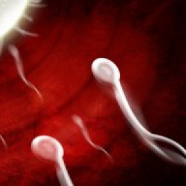 La calidad del esperma influye en los abortos recurrentes