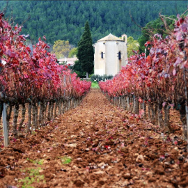 Aiguaviva, Montmell, Baix Penedès.