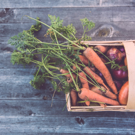 ¿Por qué elegir la agricultura y la comida orgánica?