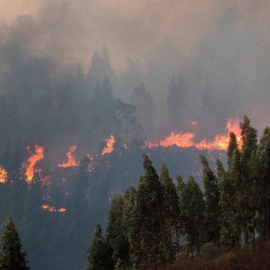 El incendio forestal declarado este jueves en el paraje El Chorrito de Paterna del Campo (Huelva).- EFE/ David Arjona