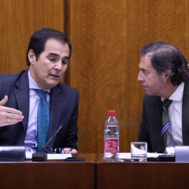 El consejero de Justicia, Administración Local y Función Pública, José Antonio Nieto, junto al presidente de la comisión, el diputado Vox, Benito Morillo.