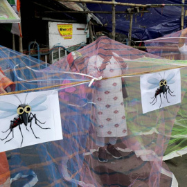 Activistas del Congreso Nacional se colocan bajo mosquiteras mientras protestan contra el gobierno de Bengala por el brote de dengue en Calcuta, este de la India, el 25 de septiembre de 2023.