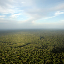 Selva amazónica en el estado de Amazonas. REUTERS / Bruno Kelly