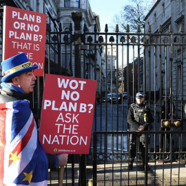 Un defensor de la celebración de un nuevo referéndum sobre el brexit se manifiesta en Downing street durante la celebración del Consejo de Ministros en Londres. - EFE