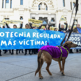 Ecologistas y animalistas se concentran este ante el Ayuntamiento de Madrid para mostrar su oposición a la mascletá organizada junto a la Casa de Campo por el alcalde.