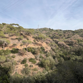 23/02/2024 - La Serra de la Marina, al Barcelonès.