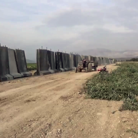 Olivos de Afrin, situados junto al muro de hormigón levantado por los turcos en los límites fronterizos con la zona kurdosiria de Rojava.